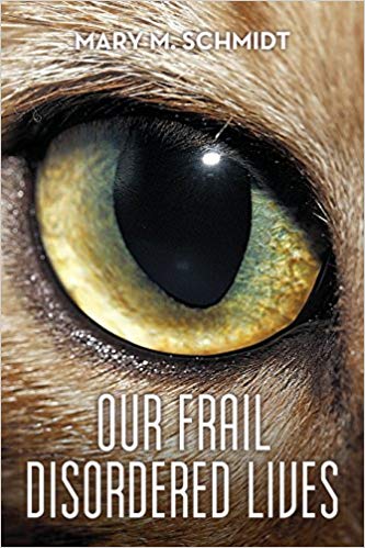 Our Frail Disordered Lives cover shot